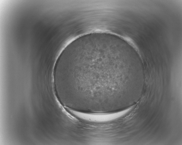 X0000066001287200603101521