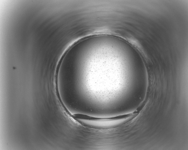 X0000066001288200603101521