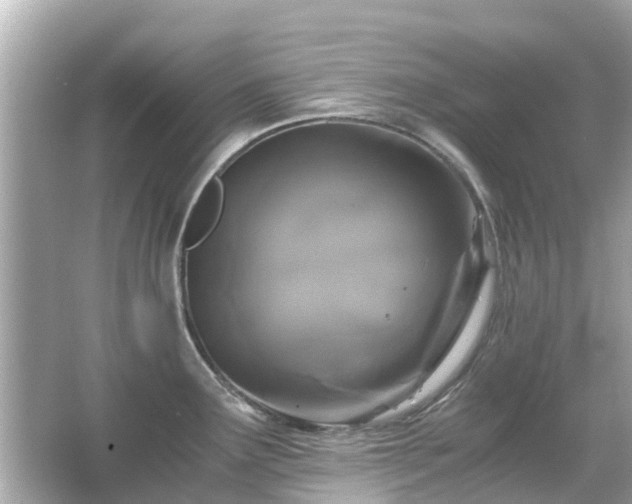 X0000066001291200603101521