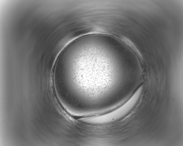 X0000066001292200603101521