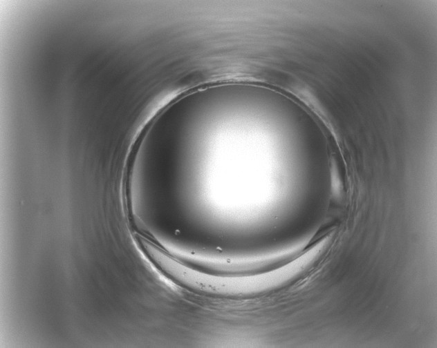 X0000066001293200603101521