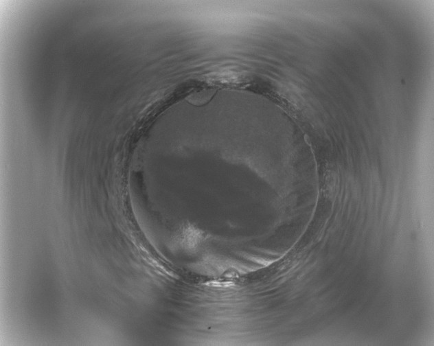 X0000066001297200603101520