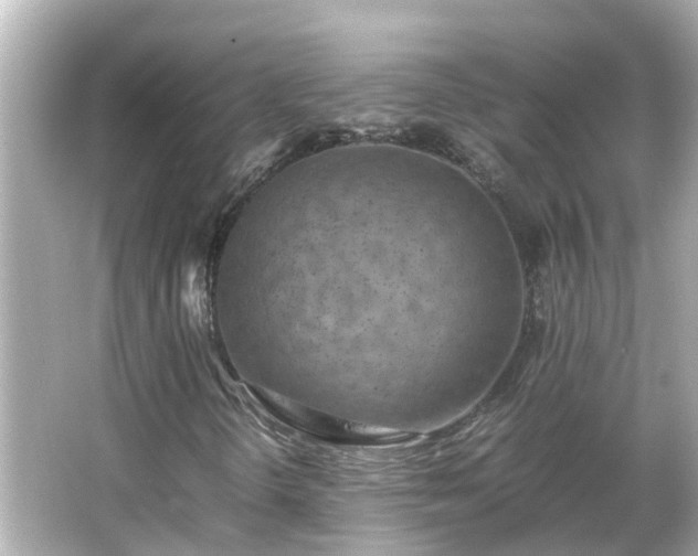 X0000066001298200603101520