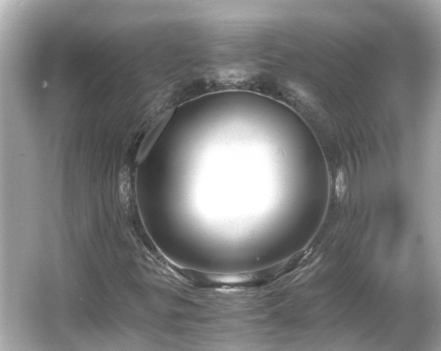 X0000066001299200603101520