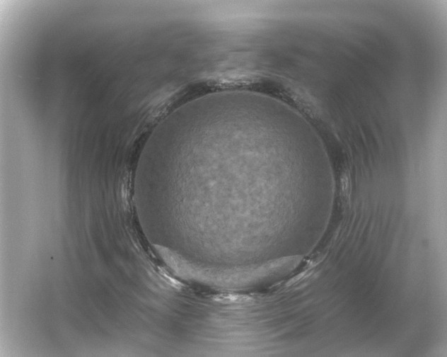 X0000066001300200603101520