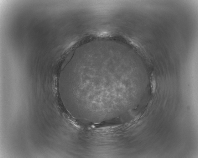 X0000066001301200603101520