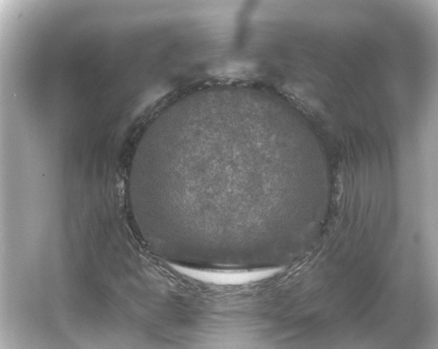 X0000066001302200603101520