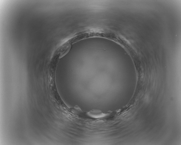 X0000066001303200603101520