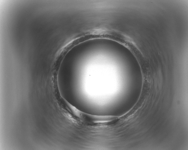 X0000066001304200603101520