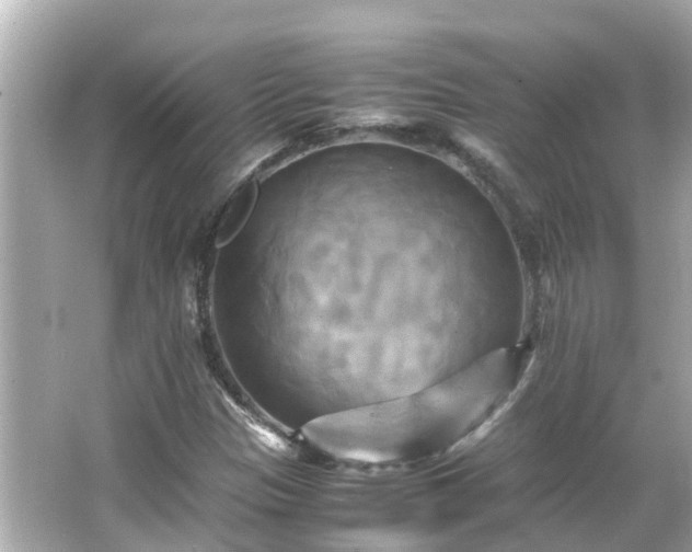 X0000066001305200603101520