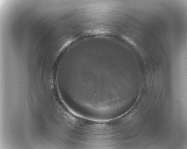 X0000066001306200603101520