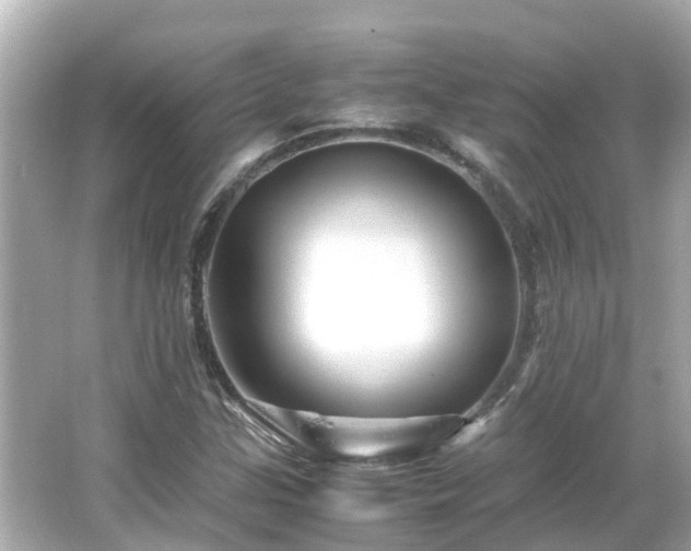 X0000066001307200603101520