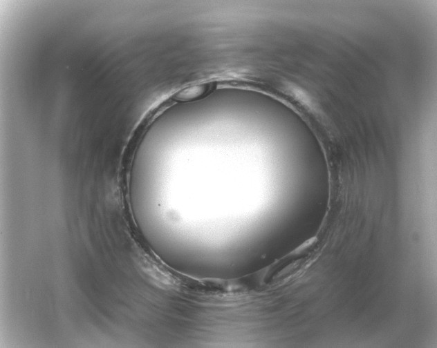 X0000066001308200603101520