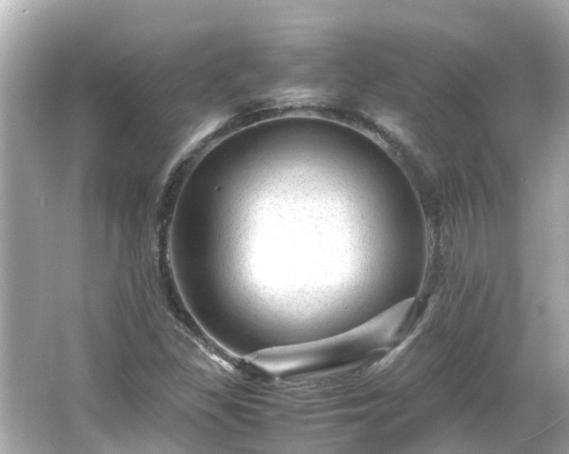 X0000066001309200603101520