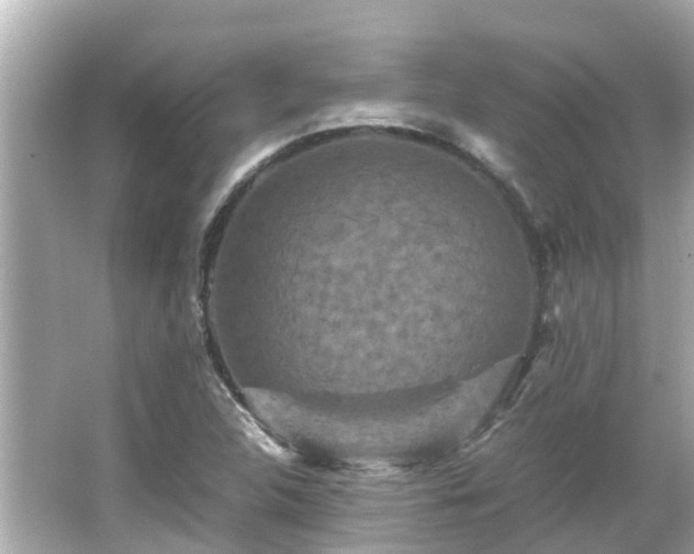 X0000066001312200603101520