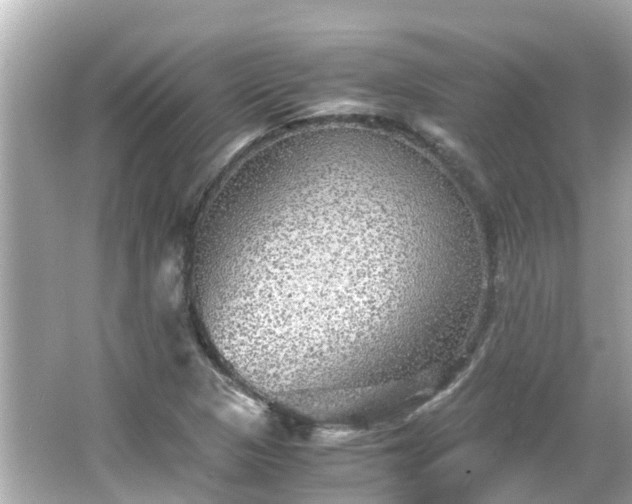 X0000066001313200603101520