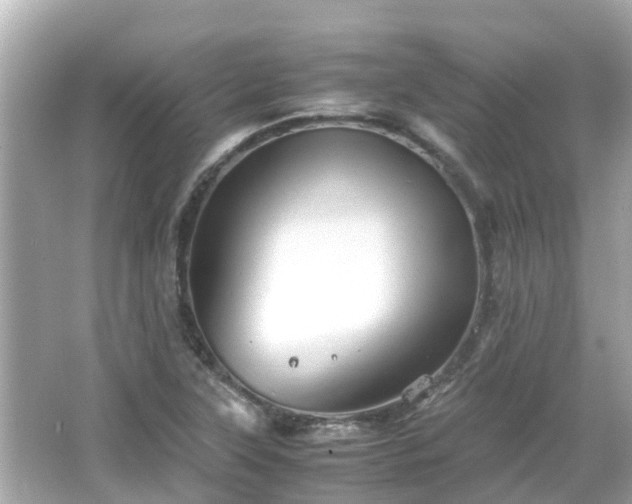 X0000066001315200603101520