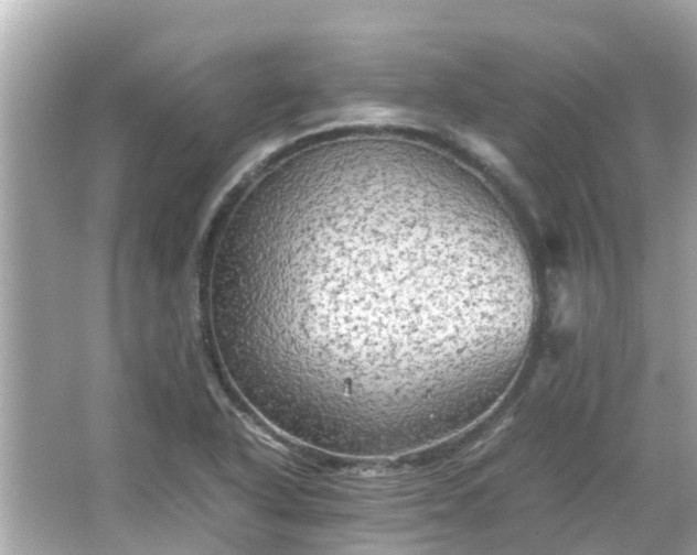 X0000066001318200603101520