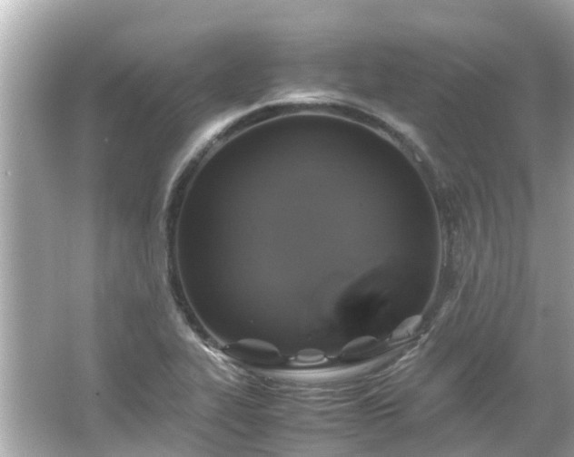 X0000066001319200603101520