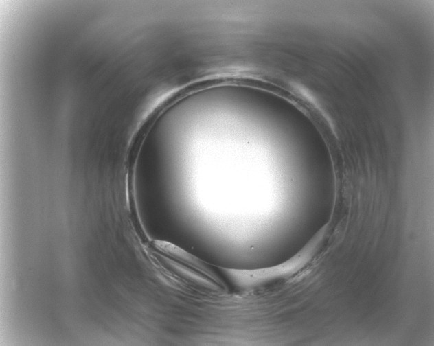 X0000066001320200603101520