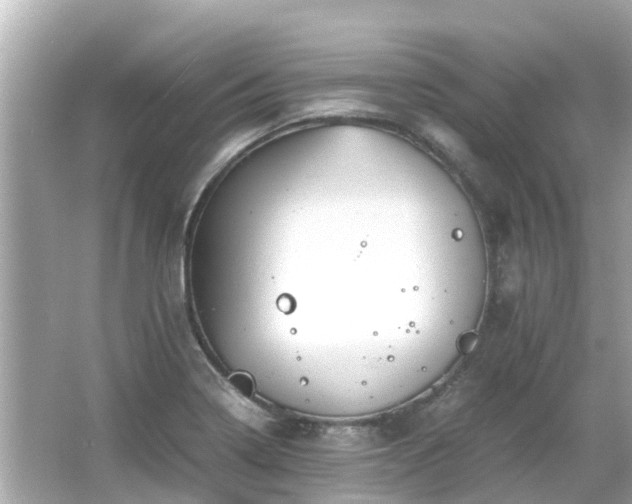 X0000066001322200603101520