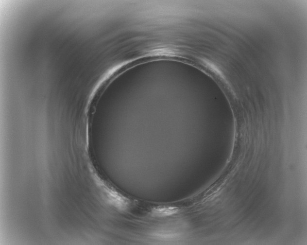 X0000066001323200603101520