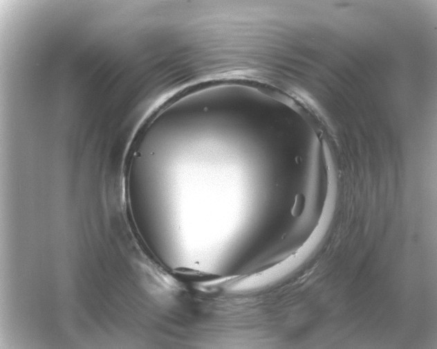 X0000066001324200603101520