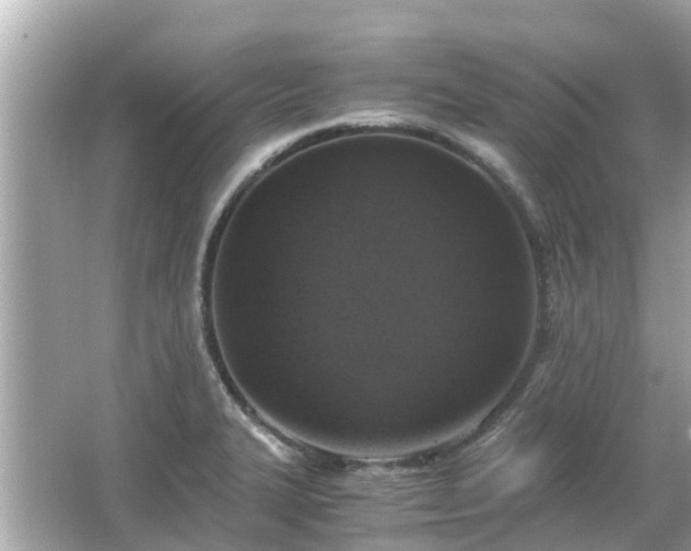 X0000066001327200603101520