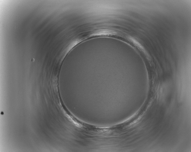 X0000066001329200603101520