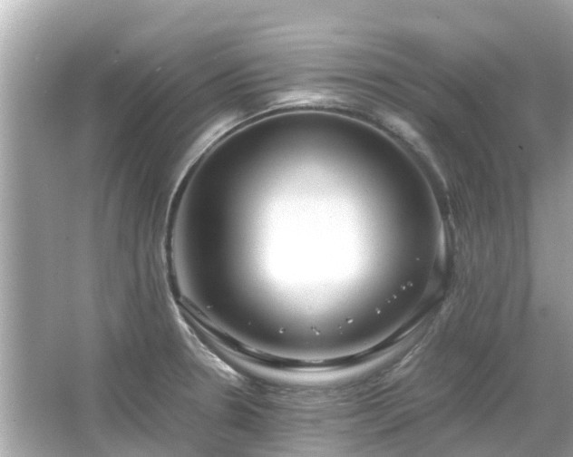 X0000066001330200603101520