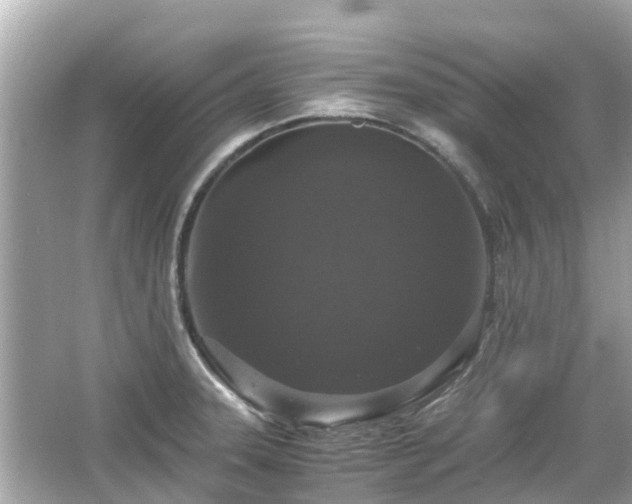 X0000066001331200603101520