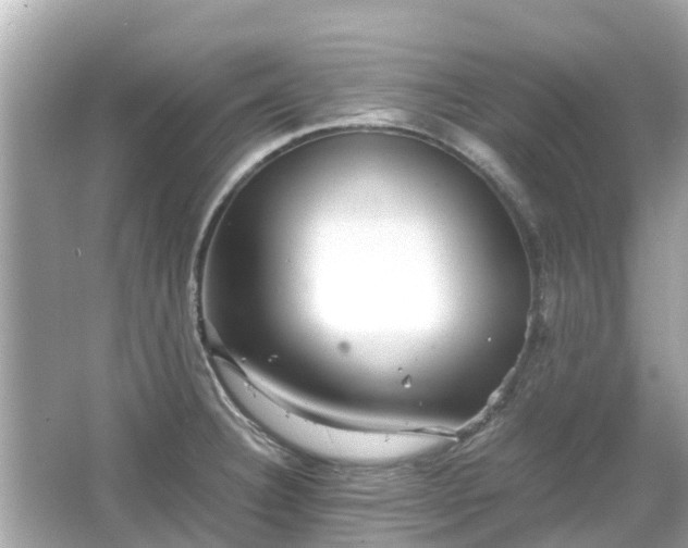 X0000066001332200603101520