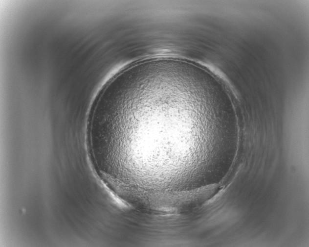 X0000066001333200603101520