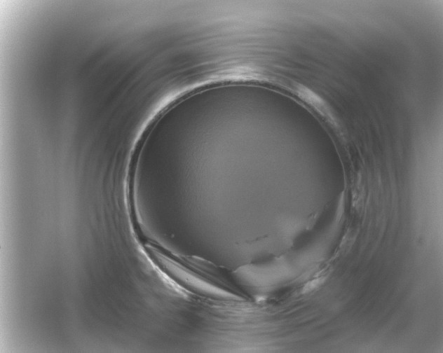 X0000066001334200603101520