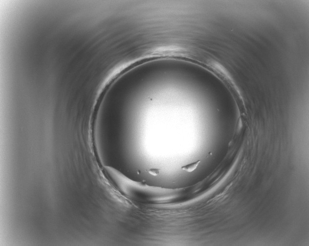 X0000066001336200603101521