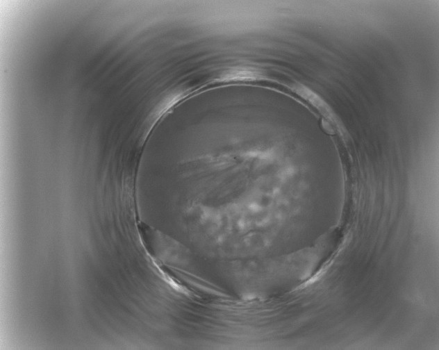 X0000066001337200603101521