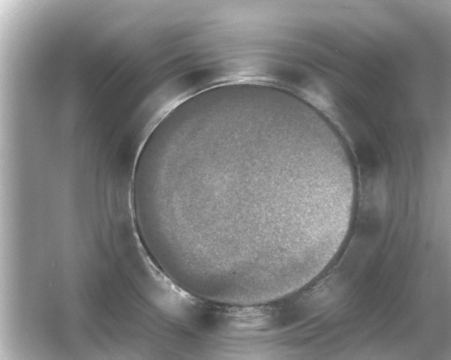 X0000066001338200603101521