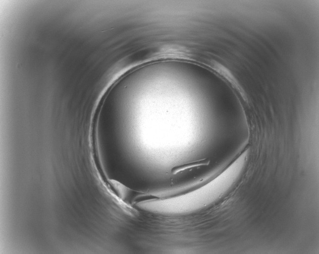 X0000066001339200603101521