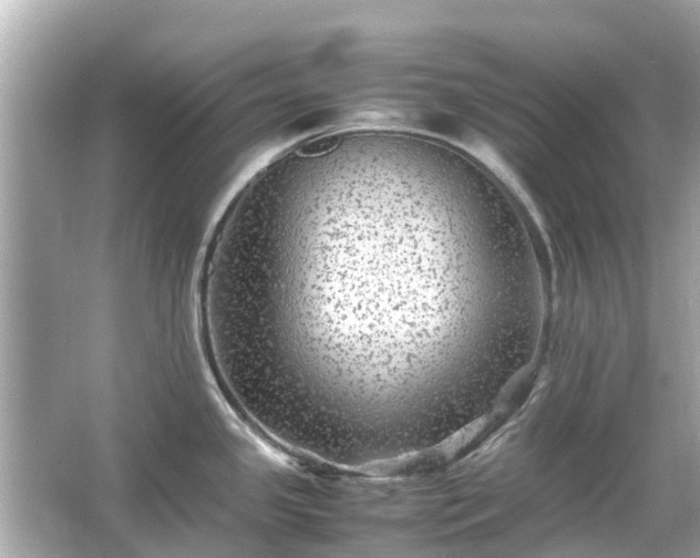 X0000066001341200603101521