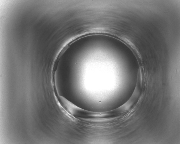 X0000066001342200603101521