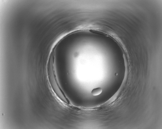 X0000066001344200603101521