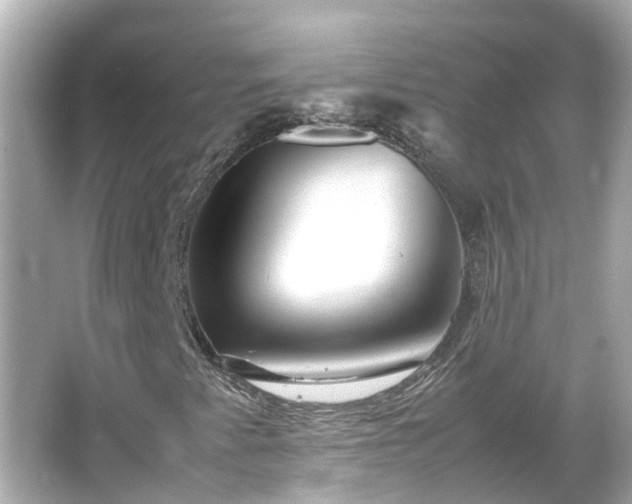 X0000066001345200603101520