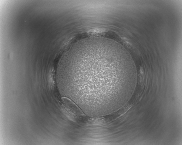 X0000066001346200603101520