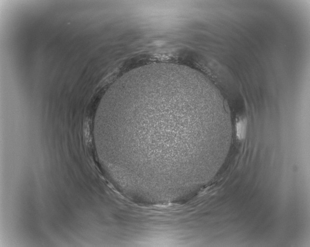 X0000066001347200603101520