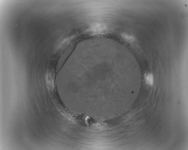 X0000066001348200603101520