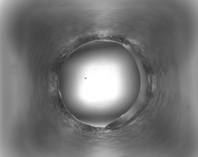 X0000066001349200603101520