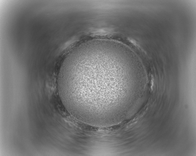 X0000066001350200603101520