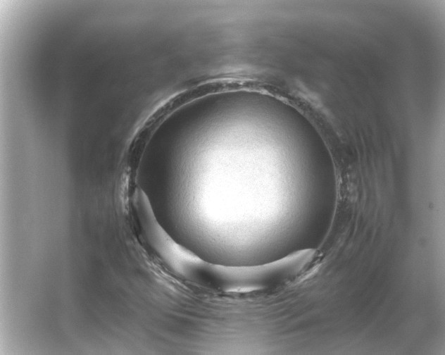 X0000066001352200603101520