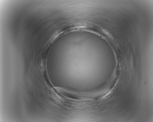 X0000066001353200603101520