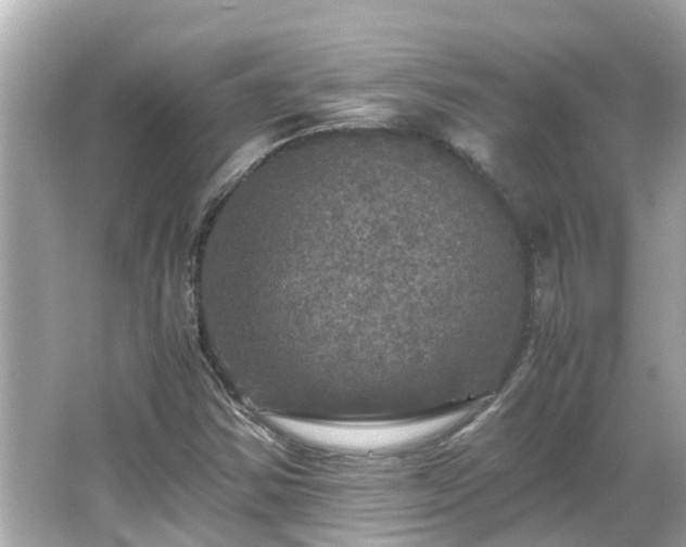 X0000066001354200603101520